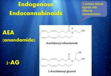 Arachidonic acid compounds!