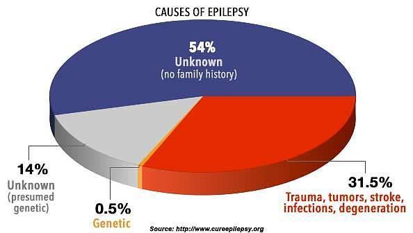 Causes of Epilepsy The most common causes of epilepsy include: Brain infection, Brain tumor, Head trauma, Stroke, Drug