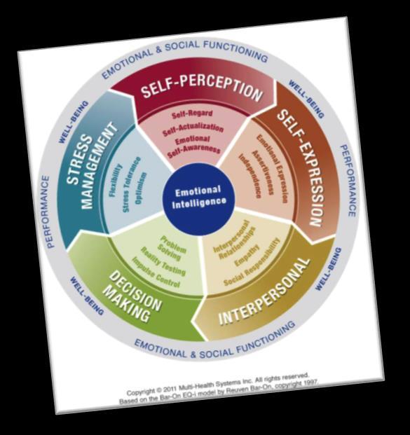 Emotional Intelligence (EQ) Competencies 1.Adaptability 2.Assertiveness 3.Authenticity 4.Collaboration 5.Compassion 6.Conflict Management 7.Confrontation 8.Congruence 9.Constructive Discontent 10.