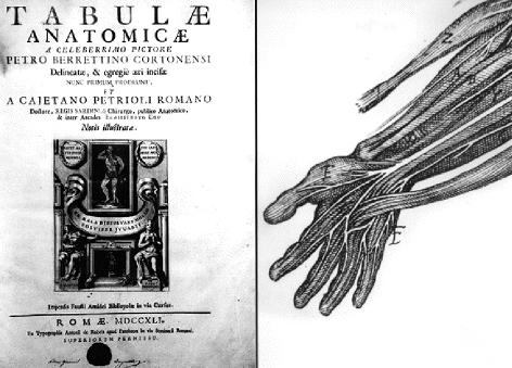 Fig. 3. Left: Reproduction of the front page of Tabulae Anatomicae, illustrated by Pietro Berrettini.