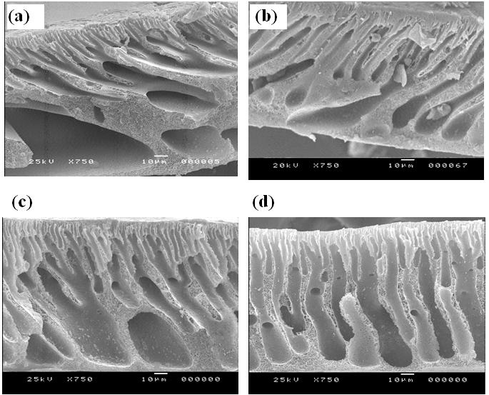 S. Pacharasakoolchai & W. Chinpa / Songklanakarin J. Sci. Technol. 36 (2), 209-215, 2014 211 the surface of the membrane using an automatic interfacial tensiometer (Data physic). 2.5 Water absorbance The water absorbance was also studied as reported by Zhu et al.