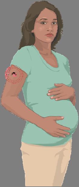 Incubation and viremia Incubation period for Zika virus