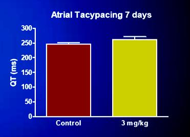 atrial tachycardiac (for 7 days)