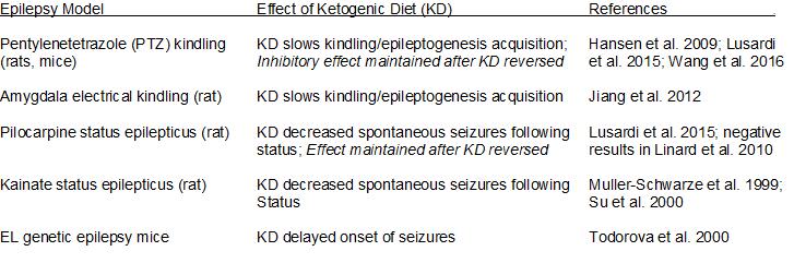Anti-Epileptogenic Effect of Ketogenic