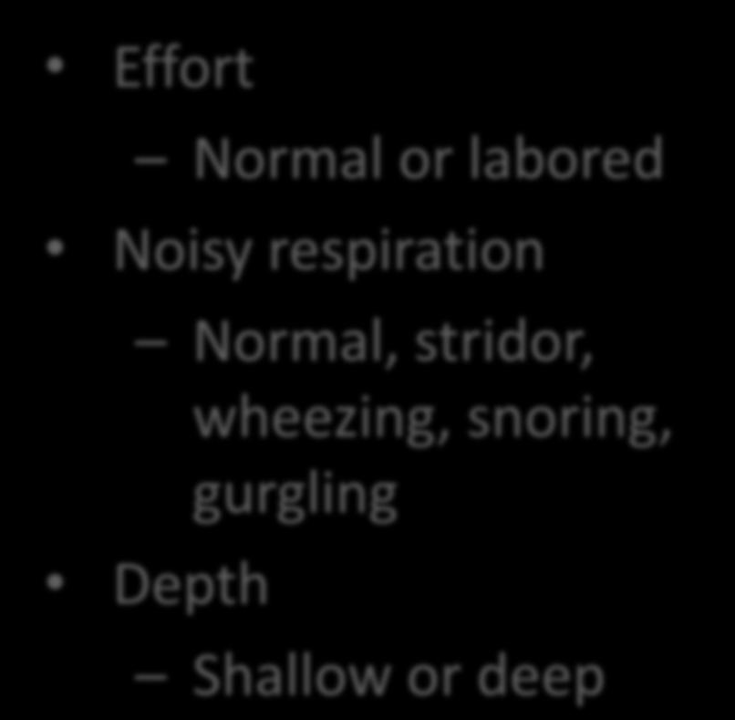 irregular Effort Normal or labored Noisy respiration