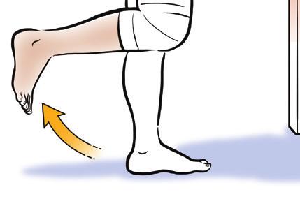 lift the leg a few inches.) Hold for 3 seconds. Slowly lower the leg.