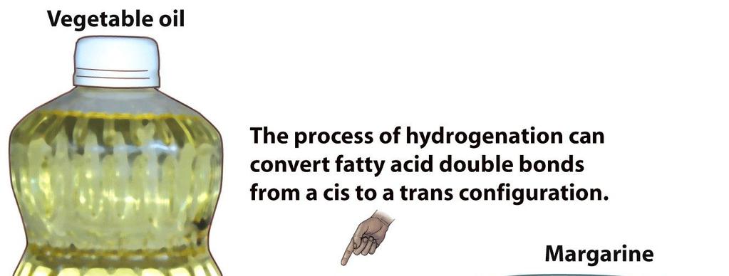 Trans Fats Hydrogenation is the process of adding hydrogen to the unsaturated and polyunsaturated oils to saturate them.