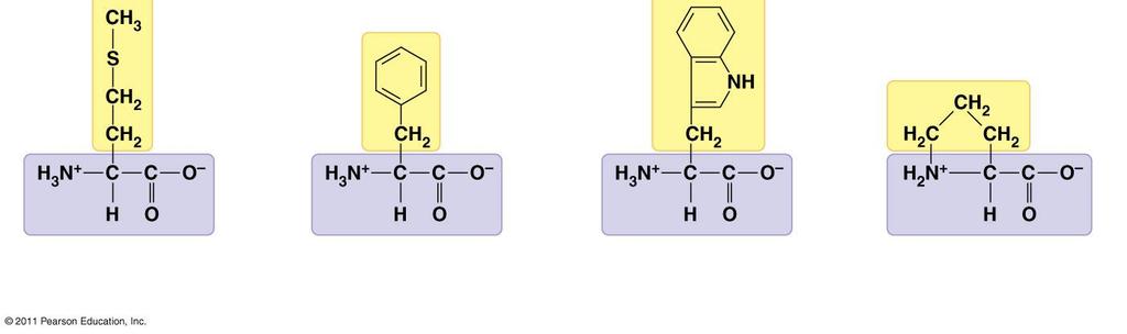 Isoleucine (Ile or I) Serine (Ser or S) Threonine (Thr or T) Cysteine (Cys or C) Tyrosine (Tyr or Y) Asparagine (Asn or N) Glutamine (Gln or Q) Electrically charged side