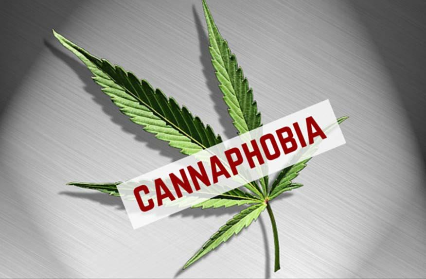 Fear of Cannabis What s Up with Fear of Marijuana in Huffington Post