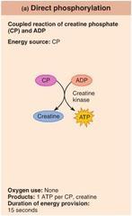 Creatine Phosphate - Direct Phosphorylation 45 46 Cellular Respiration Fermentation In mitochondria Glucose broken down to produce ATP Oxygen is needed on the electron transport chain Carbon dioxide