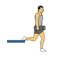 Rear Foot Elevated Split Squat (Bulgarian Split Squat) Reverse Lunge Single Leg Squat 1. Standing facing away from bench. Position bar on back of shoulders or barbells in either 2.