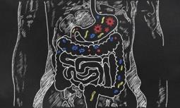 Functional Diagnostics for the Microbiome