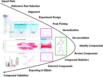 Rapidly improved determination of metabolites from biological data sets using the high-efficient TransOmics software tool