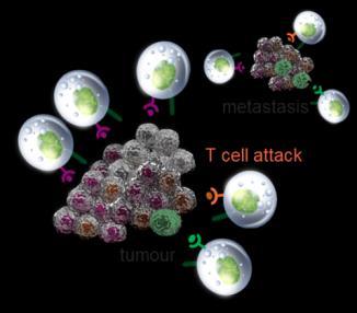 Teaching the system to Activating the immune system