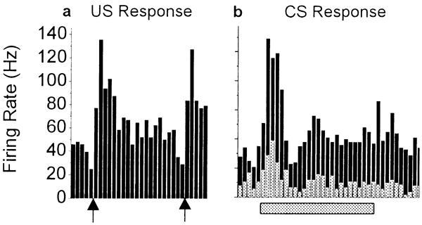 (b) PETH showing response of the same neuron to auditory CS pips delivered before (gray bars) and after (black bars) CS-US pairing (horizontal gray bar indicates