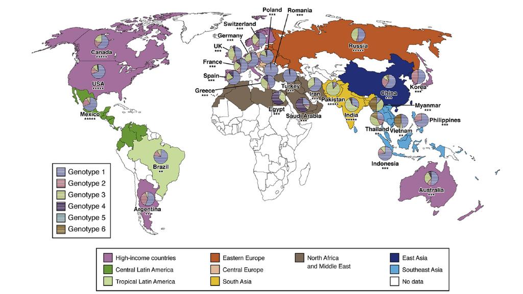 Distribution of Hepatitis C Virus Genotypes by Country