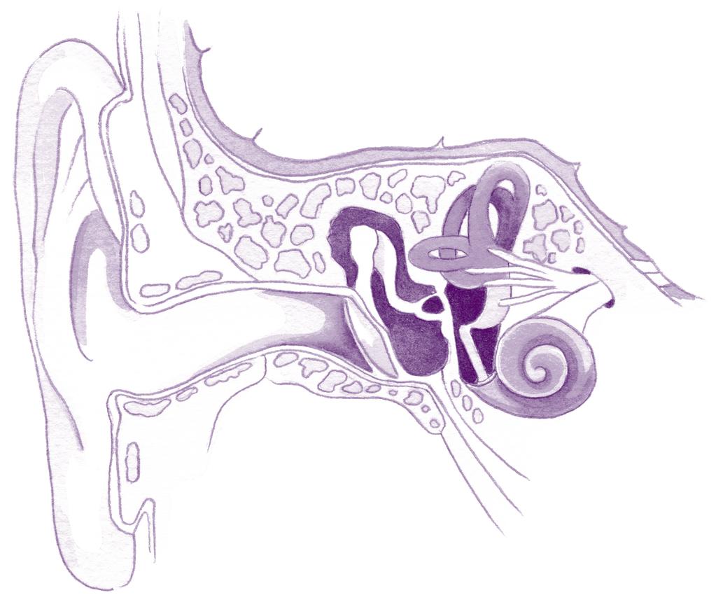 How You Hear There are three main parts of the ear and each one performs a specific task. They are: outer ear middle ear inner ear.