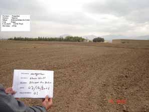 EASTERN REGION NANGARHAR PROVINCE A sharp increase in cultivation was reported in Nangarhar province in 2007, following an increase of 346 per cent in 2006 as compared to 2005.
