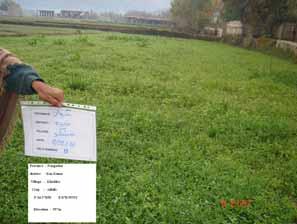 eradication activities had been reported in the provinces of Nimroz, Farah, Nangarhar, Laghman and Badakhshan by mid-january 2007 (only 653 ha of crops had been eradicated).