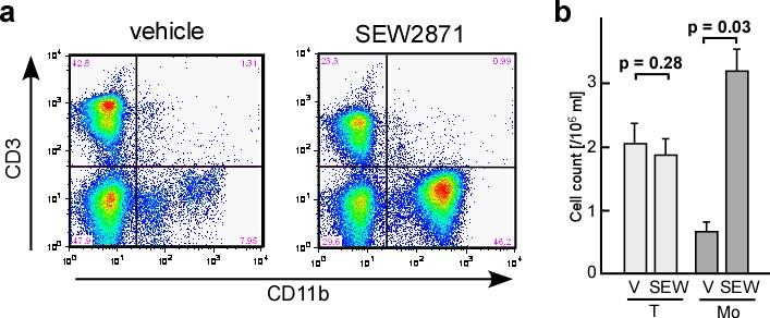 Supplementary Fig. 4. Effect of SEW2871 on the composition of peripheral mononuclear cells (PMC).