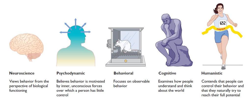 Evolution of Psychological