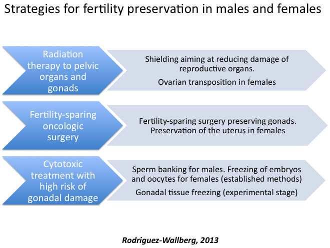 Impact of Cancer Treatment on Reproductive Health and Options for Fertility Preservation http://dx.doi.org/10
