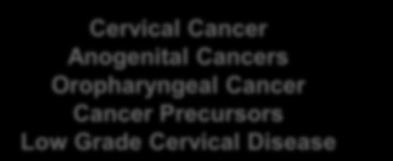 Low Grade Cervical Disease Genital