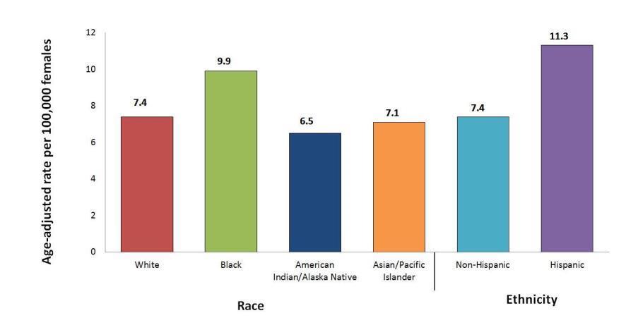 HPV-Associated Cervical Cancer Rates by Race and Ethnicity, United States, 2004 2008 Watson