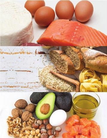 THE BASICS OF NUTRITION Carbohydrates provide direct fuel to the body & brain. Stored in glycogen.