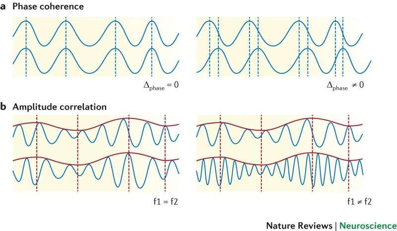 a Phase coherence quantifies the consistency of the relative phase between two simultaneous signals that have the same frequency.