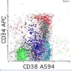 Bright CD117 with intermediate CD38 4.