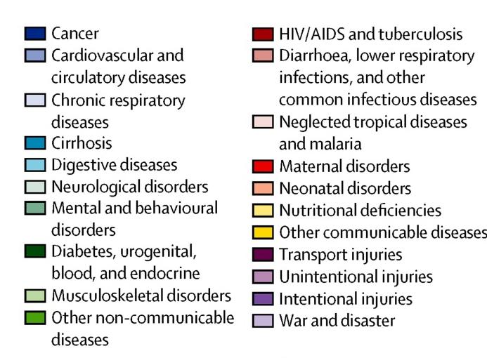 risk factors in 2010 (Lim