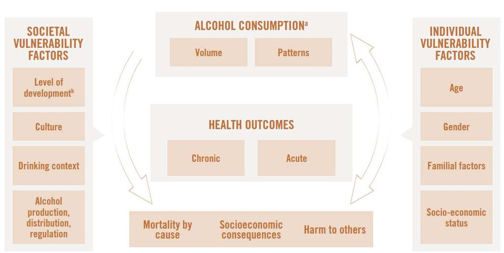 Conceptual causal model of alcohol consumption and health