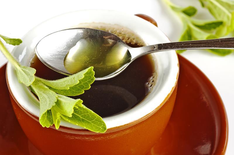 Global Stevia Extracts Market Analysis By Type (Dried, Leaves, Powder, Liquid), Application,