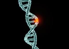MTHFR gene mutation MTHFR 677TT genotype are at significantly higher risk