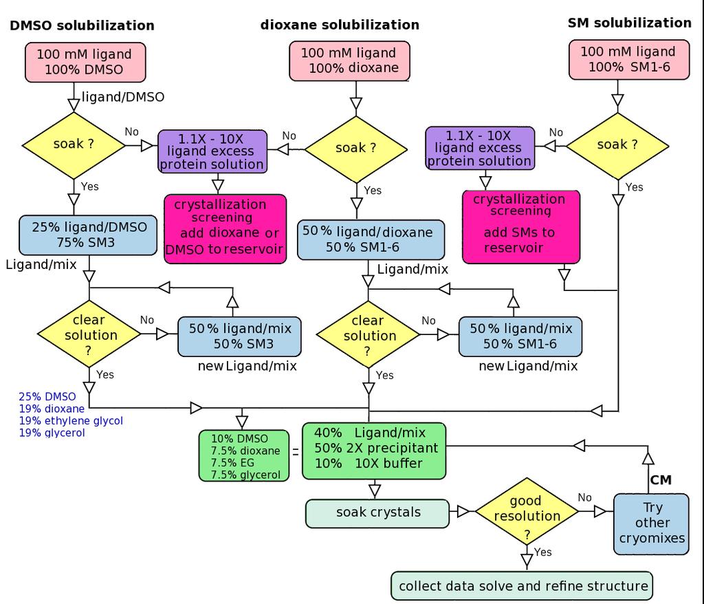 Figure 3 - Flow chart showing an overview of the ligand solubilisation and