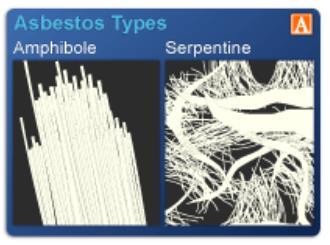 Serpentine fibers : These fibers are curly and flexible, so they are likely to become impacted in the upper respiratory passages and removed by the mucociliary elevator If some serpentine fibers are