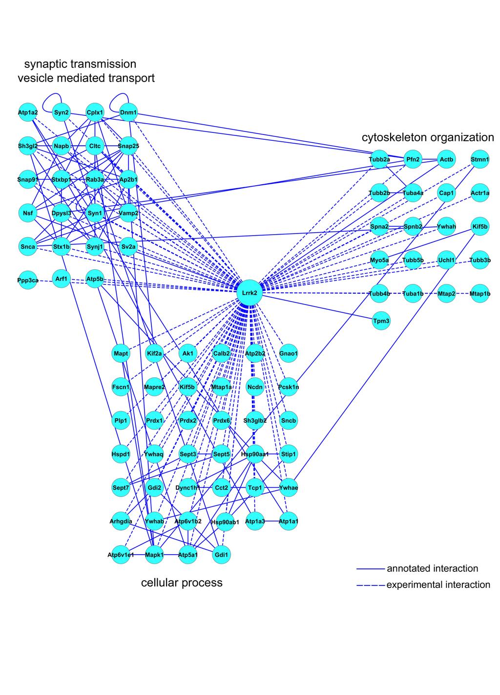 Figure S3. The list of putative interactors of LRRK2 WD40 was elaborated on STRING (accessible on http://string-db.org) and further processed by Cytoscape.
