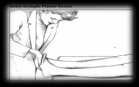 asymmetric thoracic spine Flexion of 75 90 degrees, smooth