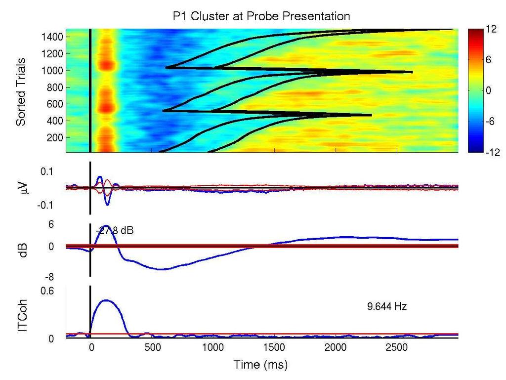 ERP image of 9.6-Hz alpha power Load 7 Load 5 db Load 3 Onton & Makeig, in prep. EEG and MEG dynamics give clues as to the role of macrodynamics (producing EEG and MEG records) in brain function.