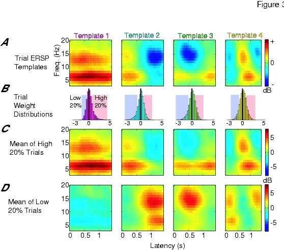 Independent Time-Frequency Modes (Medial Frontal Processes) Letter Onton et al., NeuroImage 05 In the same paper, we introduce a new mode of trial-by-trial decomposition, log spectral ICA.