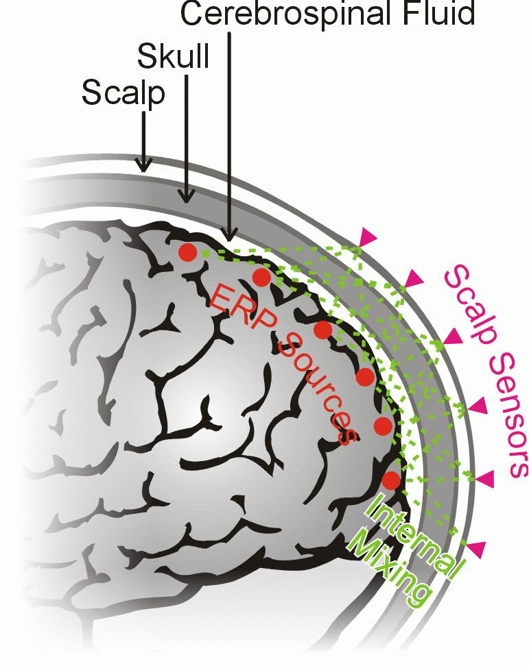 ICA Blind EEG Source Separation Unmixes scalp channel mixing (spatial averaging)!