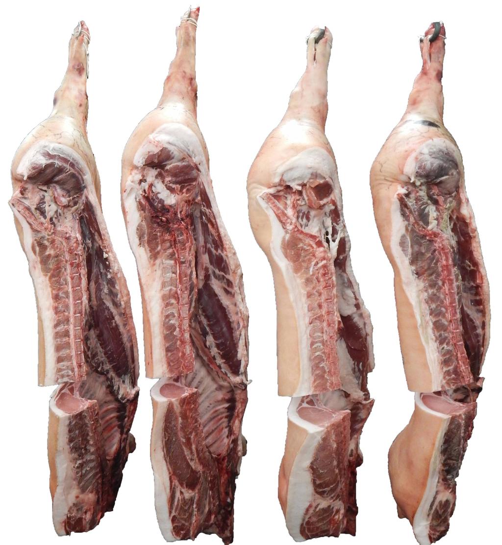 Pork Carcass