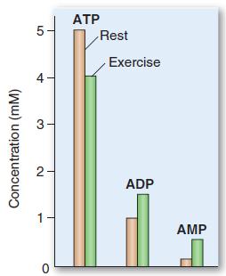 Regulation by ATP and AMP;