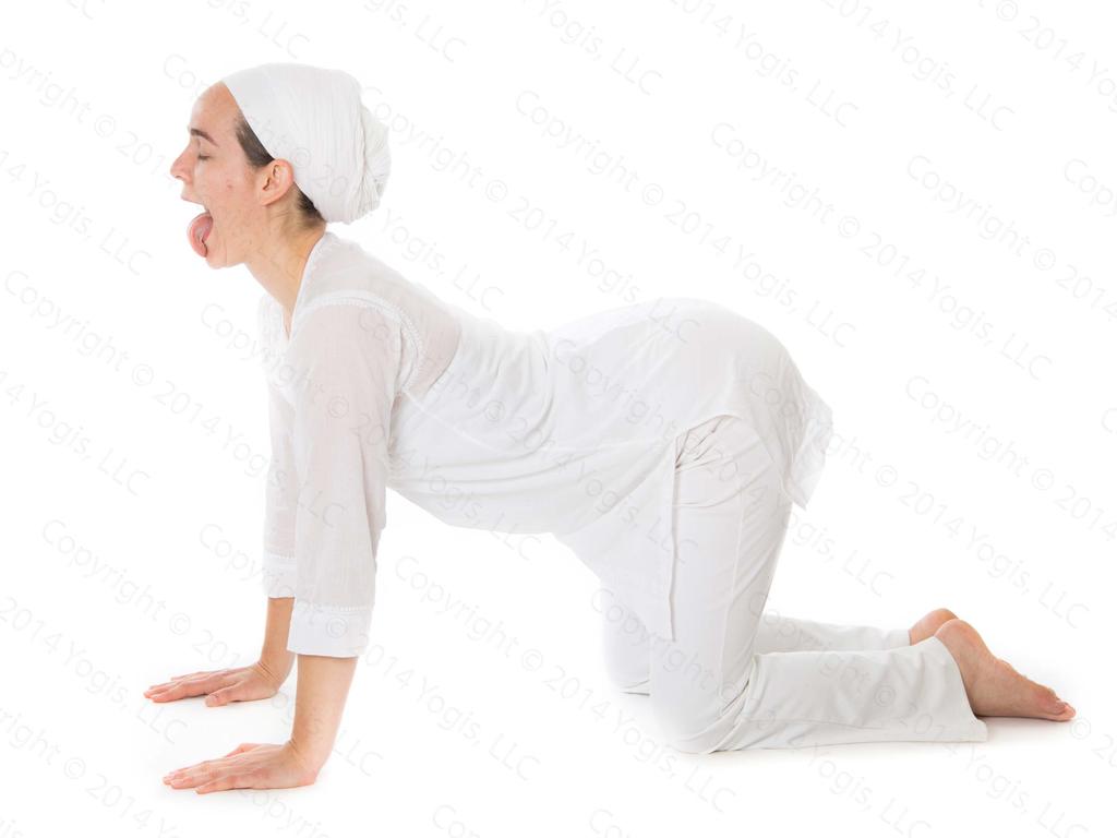 Switch sides and repeat. 9. Cow Pose Cow Pose (1 min) 1.