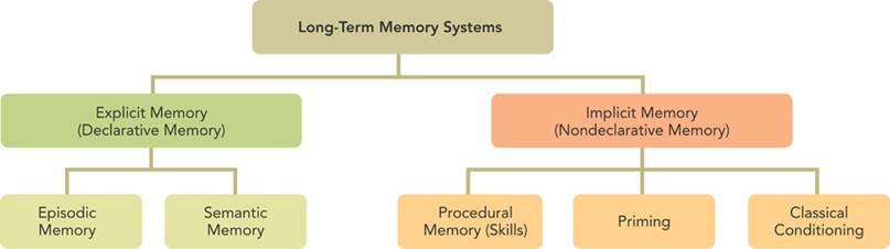 Memory Consolidation Long-term memory Unlimited duration