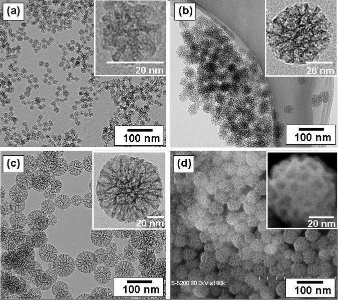Nanoparticles optimisation of long-active
