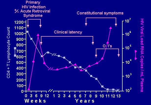 Natural history of untreated HIV infection