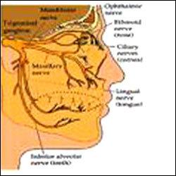 Nervous System Disorder Treatment: We are a