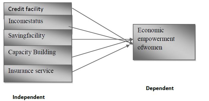 The conceptual framework consists of the dependent and independent variables.